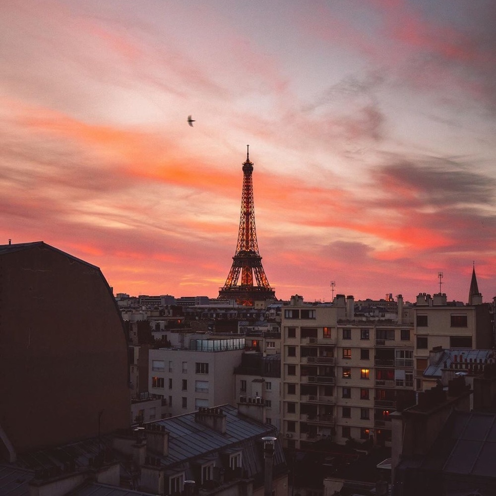 Meet your Posher, Macy